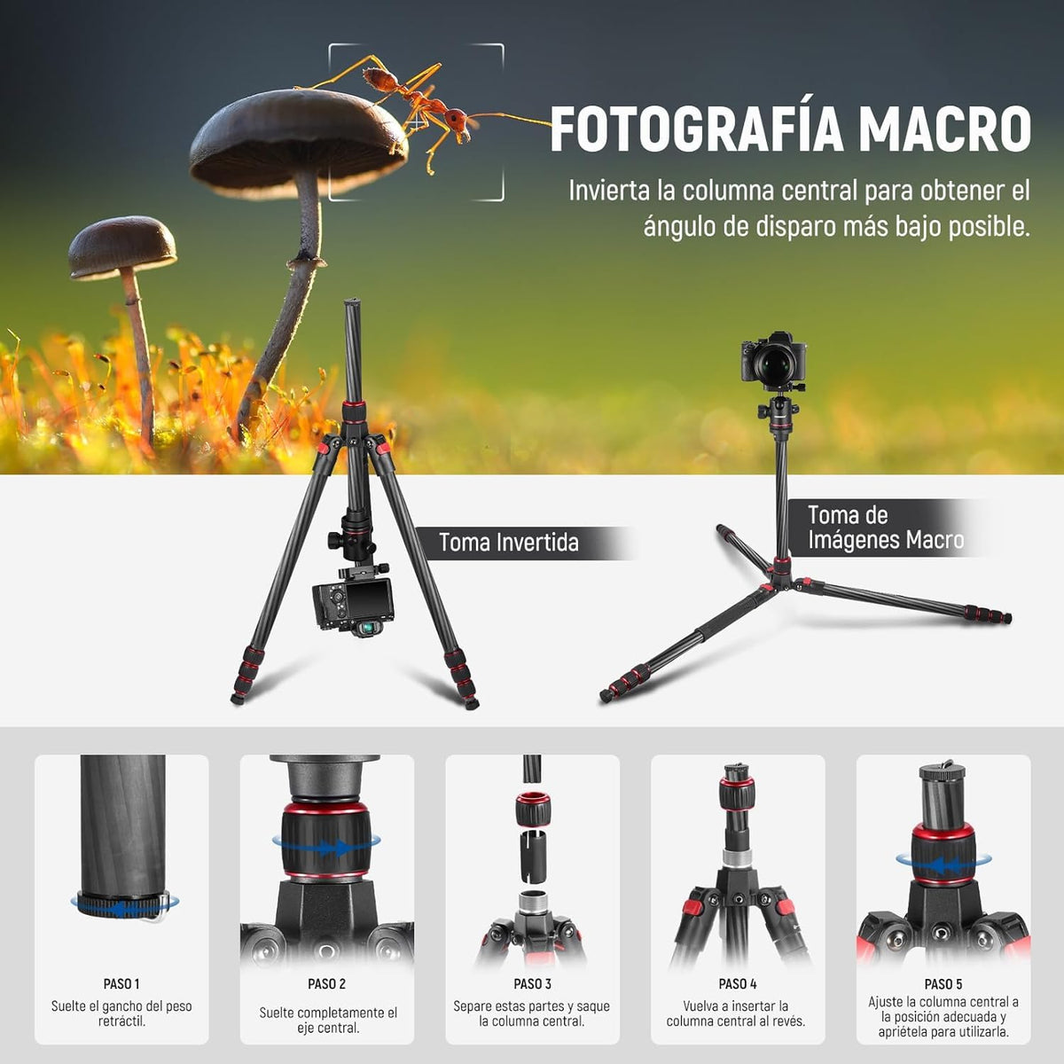 NEEWER 66"/168cm Fibra de Carbono Tripode para Camara con 360° Rotula, N55C | Panorama, 1/4" Arca Placa QR, Portatil Bolsa, Compacto Viaje Tripode Monopod para DSLR Video Camcorder