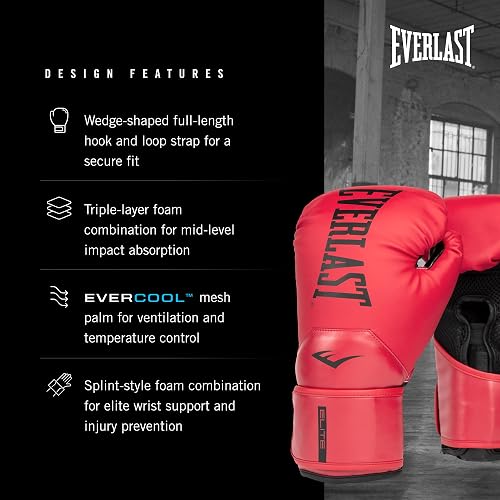 Everlast Boxing Gloves