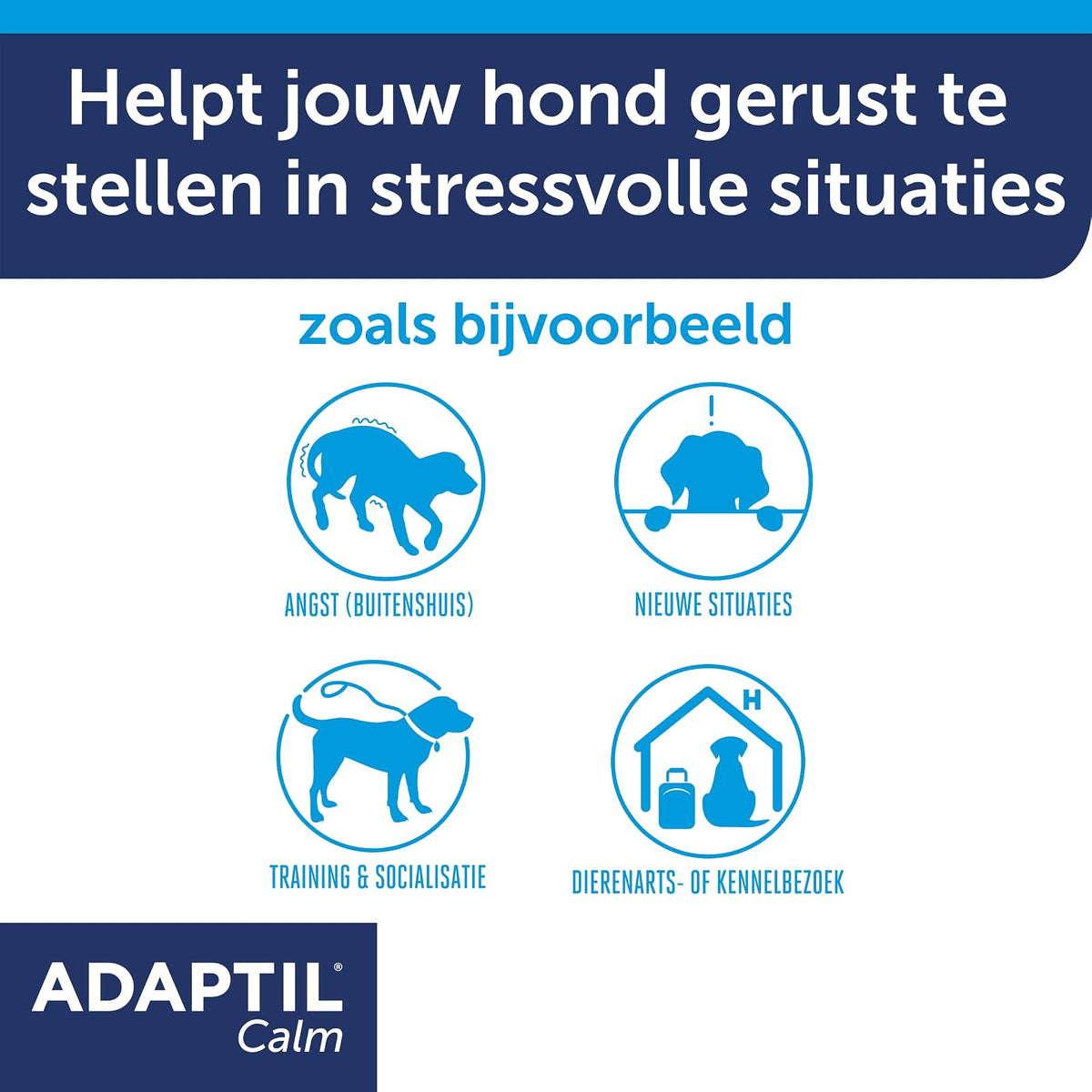 Adaptil Calm - Collar antiestrés para Perro (tamaño pequeño)