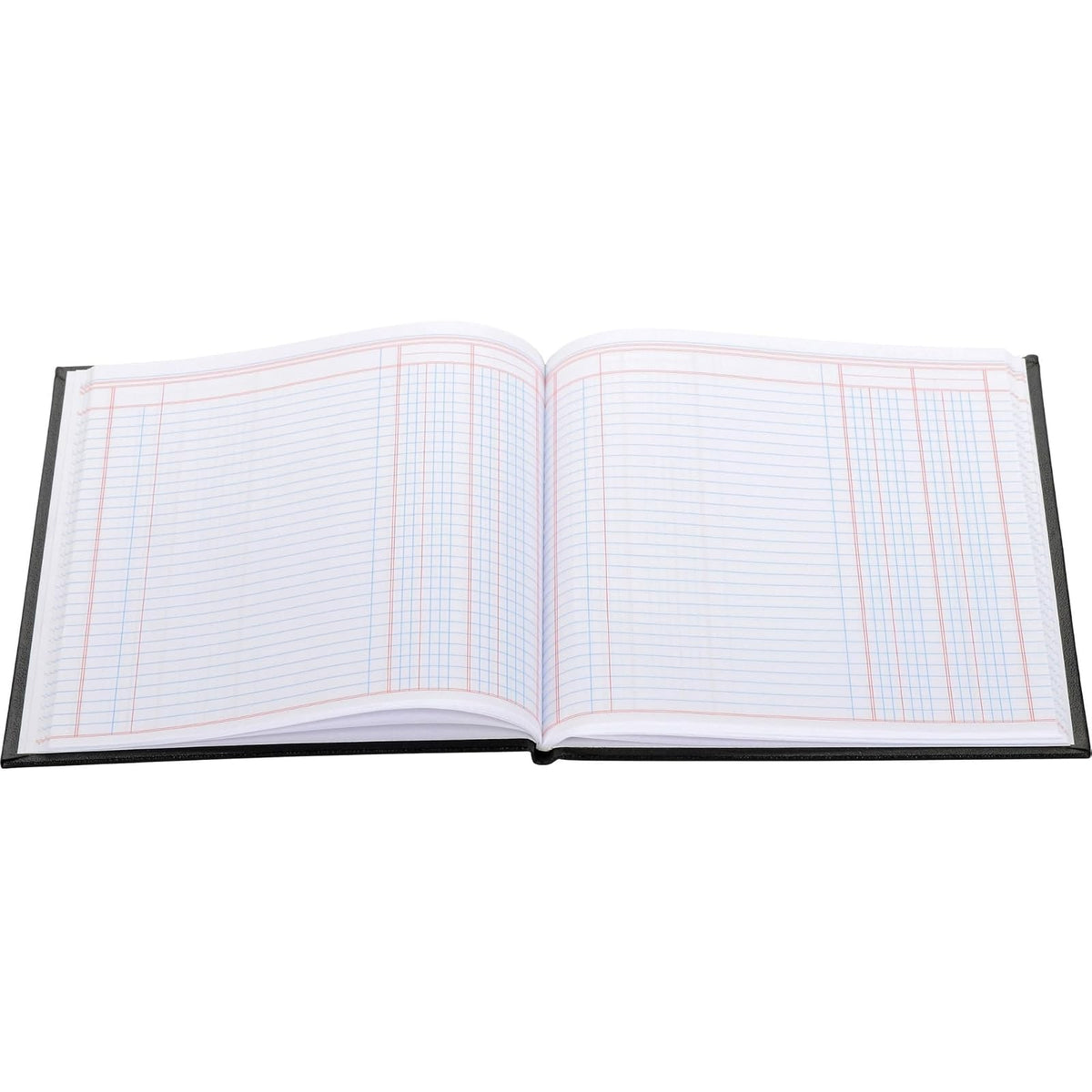 Wilson Jones Hardbound Accounting Journal, 9.25 x 7 Inches, 2 Columns, 80 Pages, 30 Lines per Page, Black (W74102A)