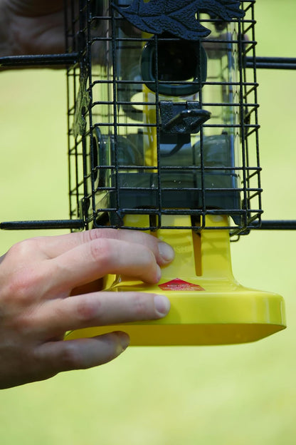 Squirrel Solution200 Comedero para pájaros silvestres de 5.5 x 5.5 x 30 pulgadas (con colgador) con 6 puertos de alimentación, capacidad de semillas de 3.4 lb, embudo de semillas gratis