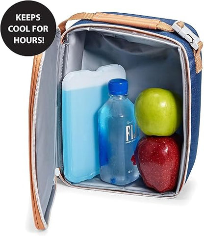 Fit + Fresh XL Cool Coolers - Paquete de hielo delgado para fiambrera, enfriadores, bolsas de playa y cestas de picnic, multicolor, paquete de 4, extragrande