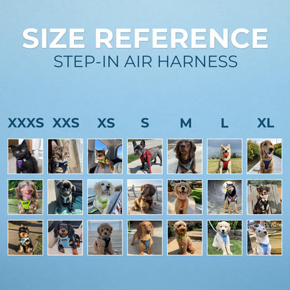 Best Pet Supplies - Arnés de malla para todo tipo de clima y correa reflectante para perro de 5 pies con mango de neopreno, para cachorros de raza pequeña, mediana y grande, arnés de correa (azul real), XXS
