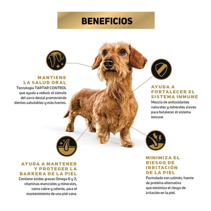 Pro Plan Sensitive Skin Adulto Razas Pequeñas 9.5 Kg
