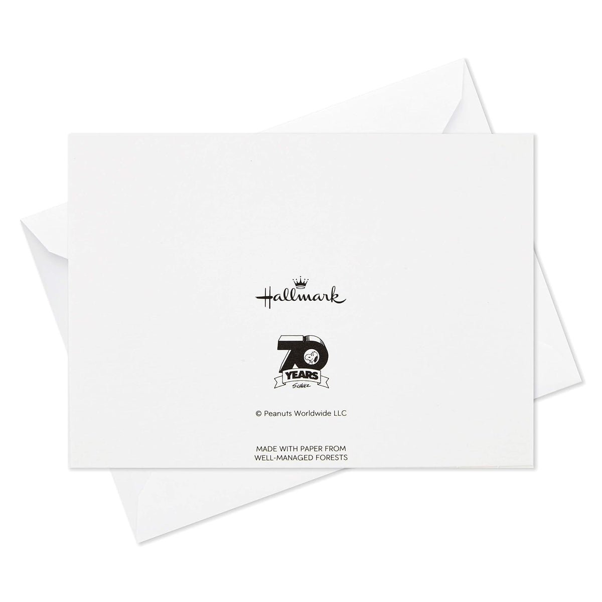 Hallmark Peanuts - Surtido de tarjetas en blanco, 70 aniversario (40 tarjetas de notas con sobres)