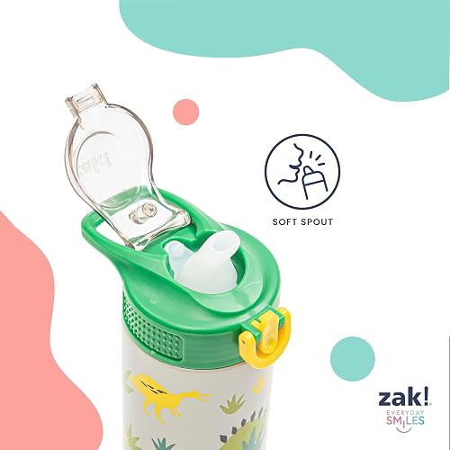 Zak Designs Sanrio Sage - Botella de agua para niños para escuela o viajes, botella de agua de acero inoxidable de 19 onzas con popote, mango y a prueba de fugas, cubierta de boquilla desplegable