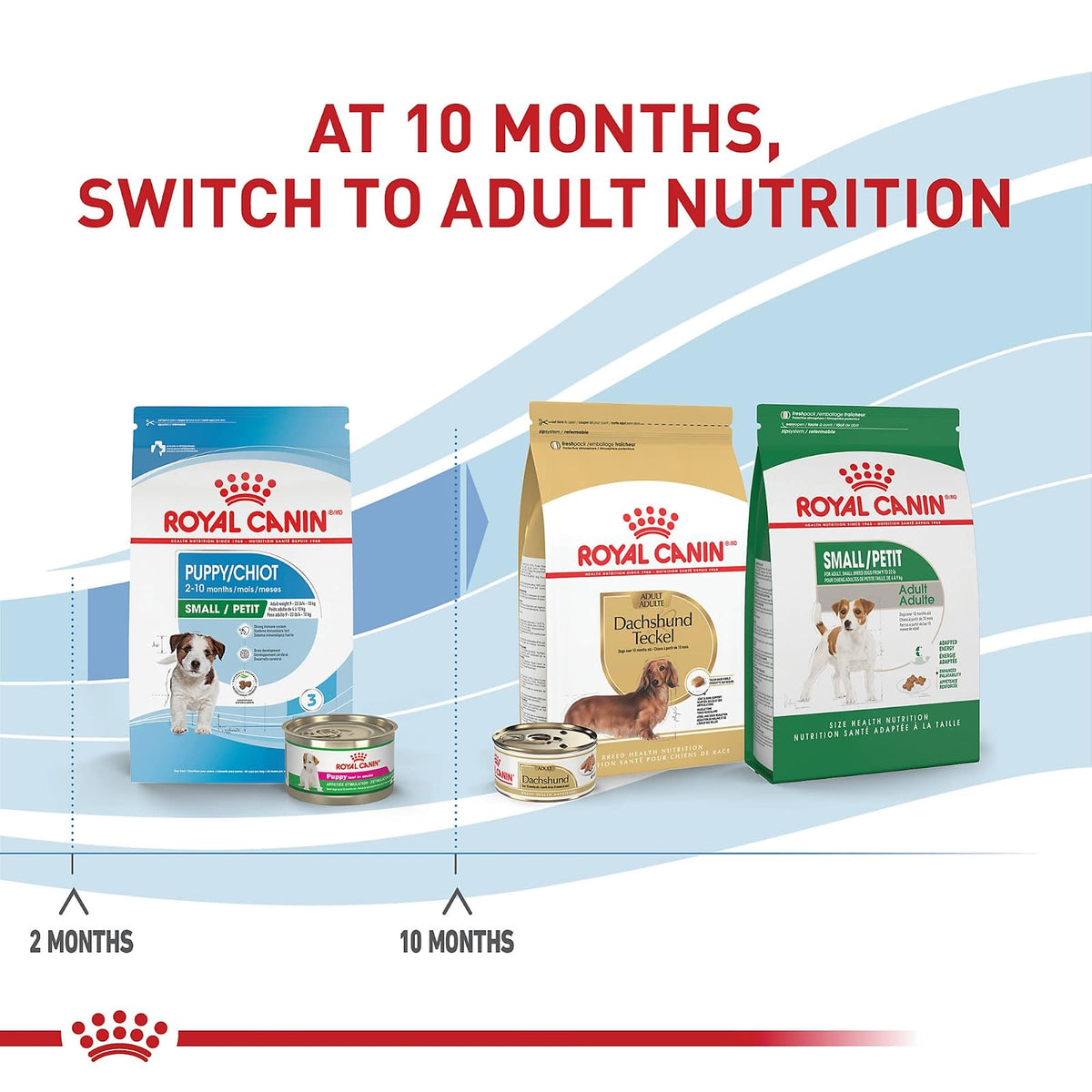 ROYAL CANIN- alimento para Perros Perros Small Puppy de 6.36 kg