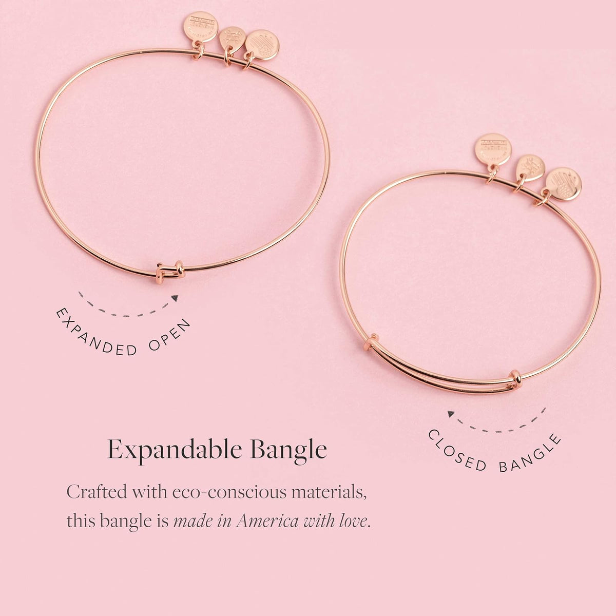 Alex and Ani Charity by Design, Pulsera de Unicornio EWB, Dorado rafaeliano