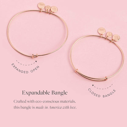 Alex and Ani Path of Symbols - Brazalete expandible para mujer, diseño de brújula, acabado rafaeliano, 2 a 3.5 pulgadas