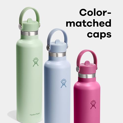 Hydro Flask - Botella de agua de acero inoxidable aislada, tapa estándar con popote, no derrama, a prueba de fugas en 24 onzas, color gris abedul