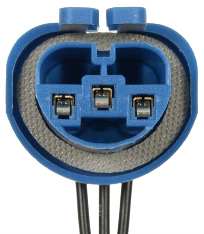 ACDelco Professional LS256 Enchufe para Faros Delanteros, Azul