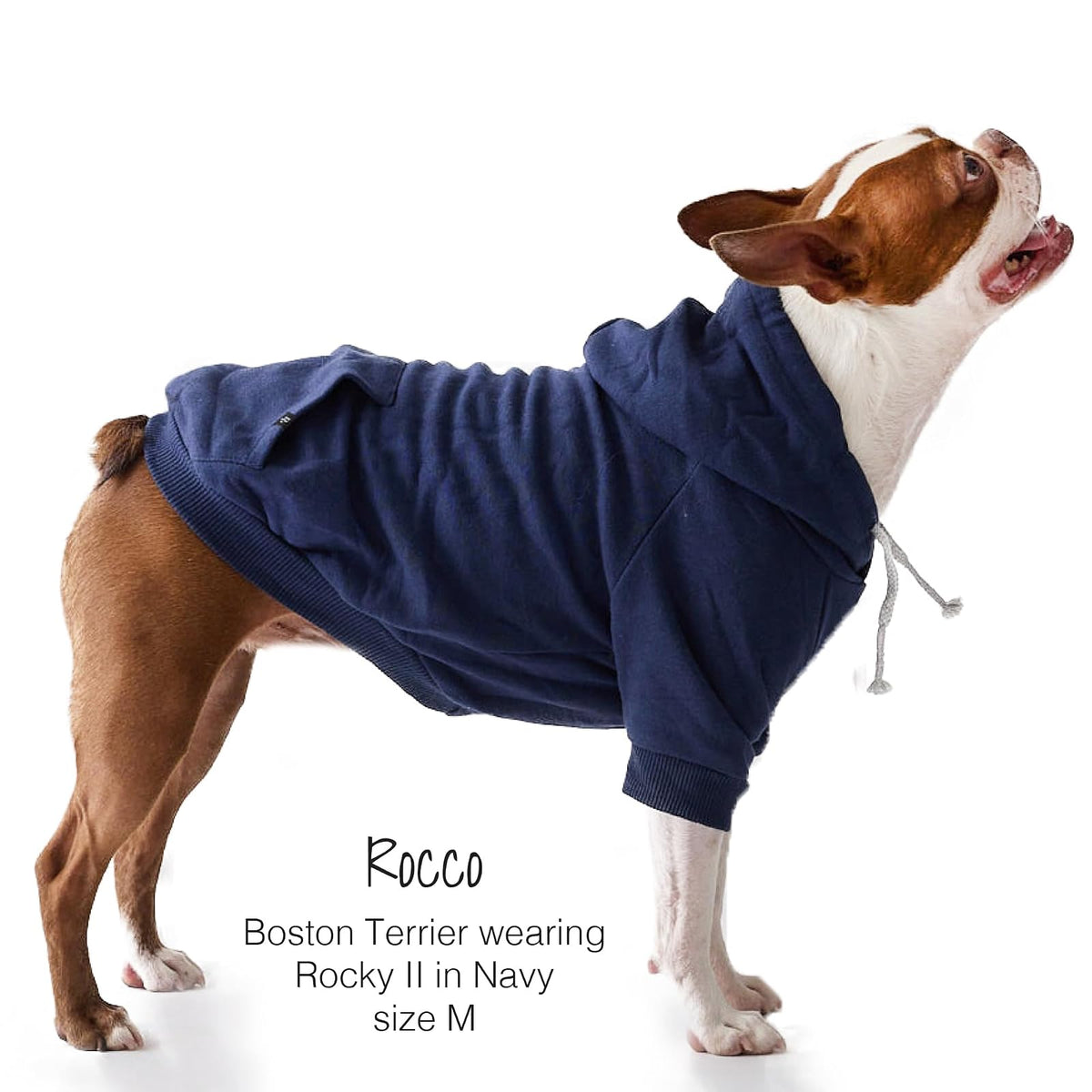 pet passion Rocky II - Sudadera con Capucha Extra cómoda, algodón orgánico y poliéster Reciclado para Perros pequeños, medianos, Grandes, Azul Marino, Talla M