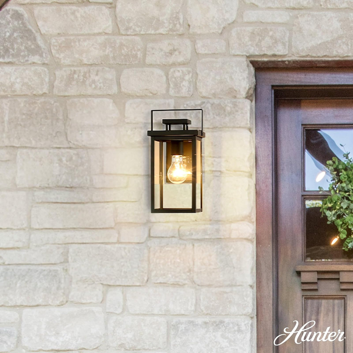 Hunter Fan, Colgante de pared Timbergrove Negro Mate para Exterior 1 Luz 11 pulgadas