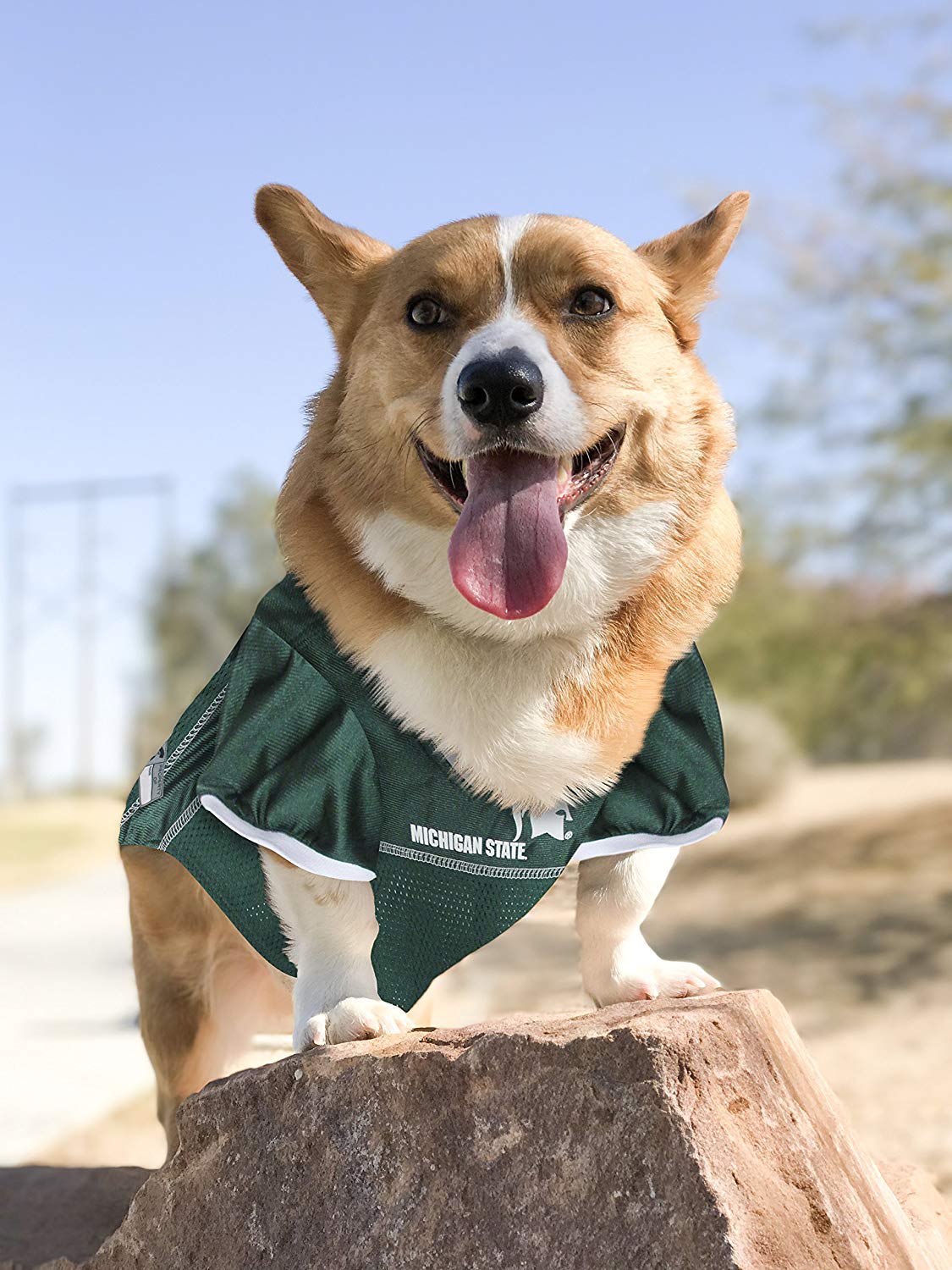 Pets First Jersey De Perro Mesh Para Michigan State Spartans, Talla M