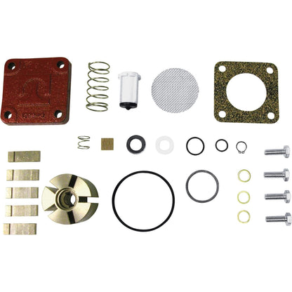 Fill-Rite Kit de reconstrucción 4200KTF8739 para serie 600, 1200, 2400, 4200 y 4400 con cubierta de rotor - Serie C 1200, 600, 4200