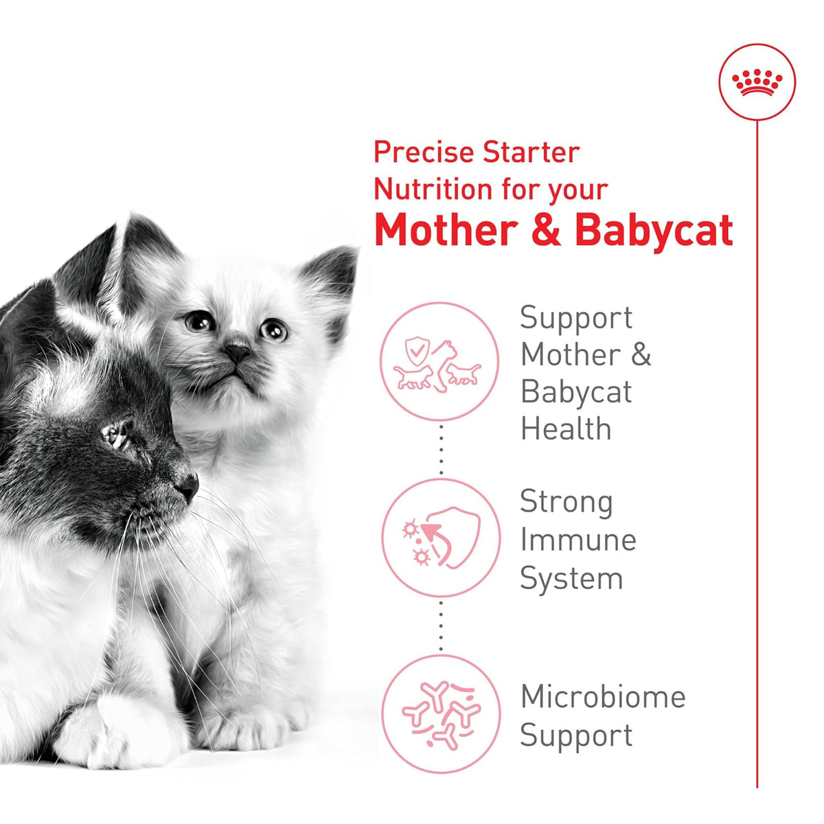 ROYAL CANIN alimento para Mother & Baby Cat 1.37 kg