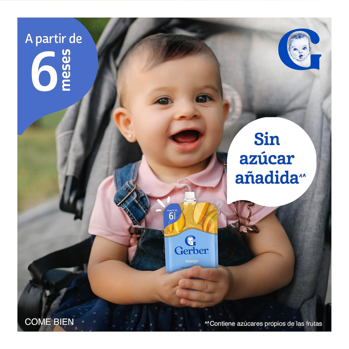 Papilla Gerber Pouch Mango Etapa 4 110g Paquete de 12