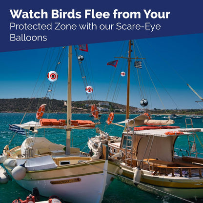 Bird-X Scare-Eye® Bird Repellent Predator Eyes Balloons, Pack of 3