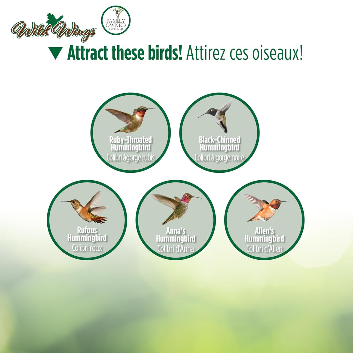 Nature's Way Brid Products WWGHF1 - Comedero para colibríes