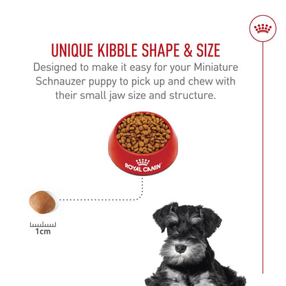 ROYAL CANIN, Puppy - Mini Schnauzer, Croquetas Perro, 1.1kg
