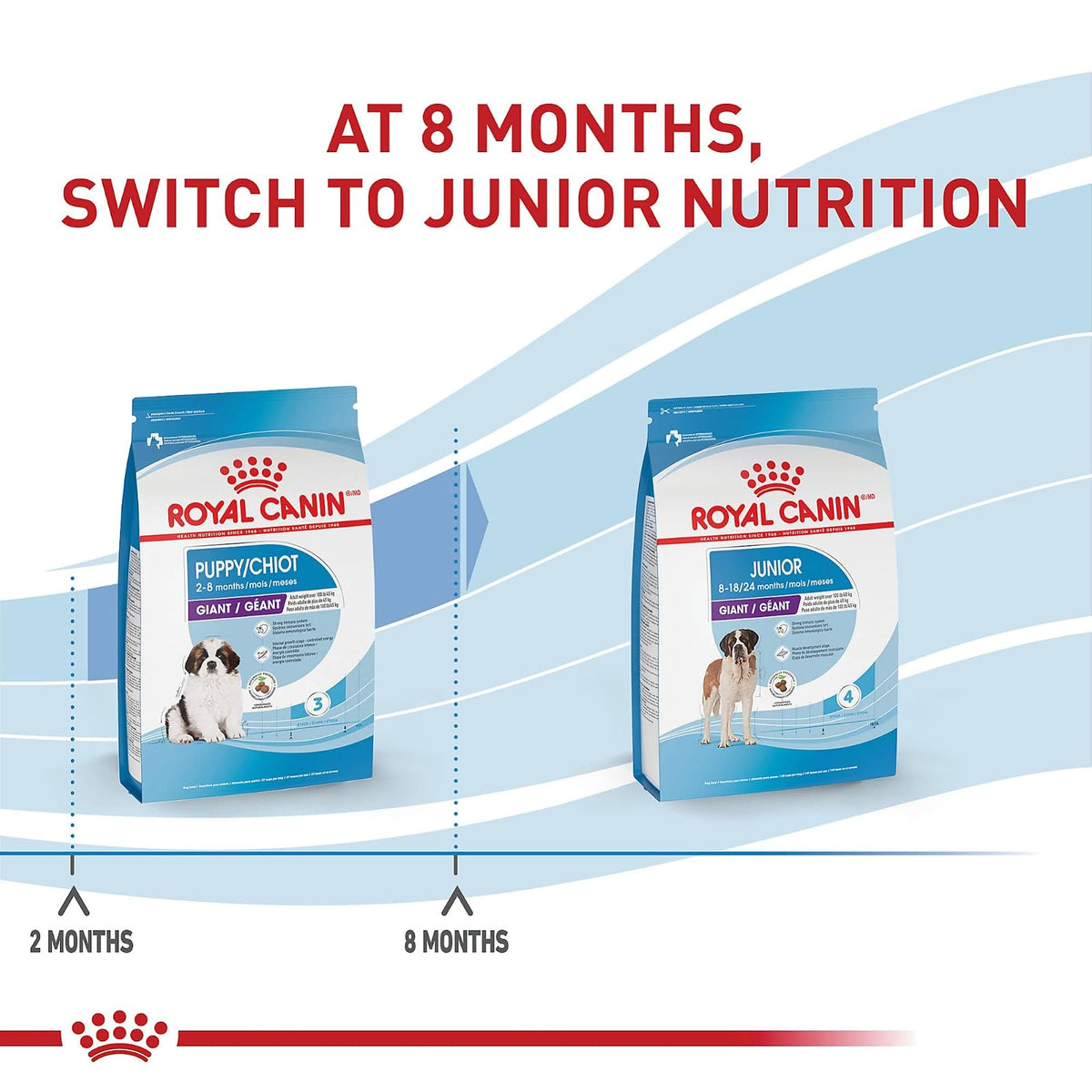 ROYAL CANIN - Alimento seco para Perros (tamaño Gigante), Perro, 13.61 kg