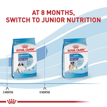 ROYAL CANIN - Alimento seco para Perros (tamaño Gigante), Perro, 13.61 kg