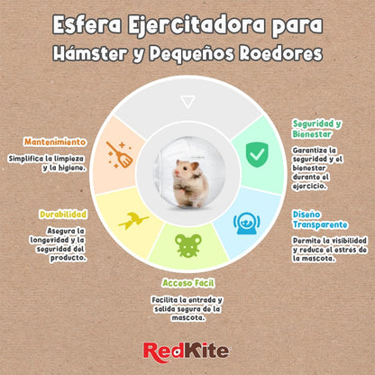 Red Kite Esfera Ejercitadora para Hámpster, Ratones, Ratas, Cuyos y Pequeños Mamíferos, Mediana de Plástico Transparente con 18 centímetros de Diámetro