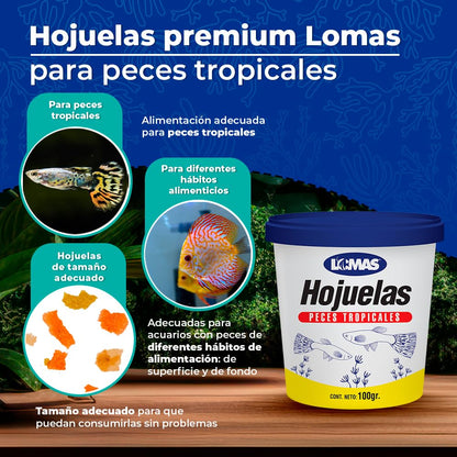 Tetra Lomas Hojuelas Premium Alimento para Peces con 100 Gramos