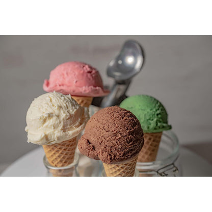 Harold Import Company Herramientas para helados y congelados, anticongelante y antiadherente, Cuchara anticongelamiento para helado, Plateado, Variable, 1