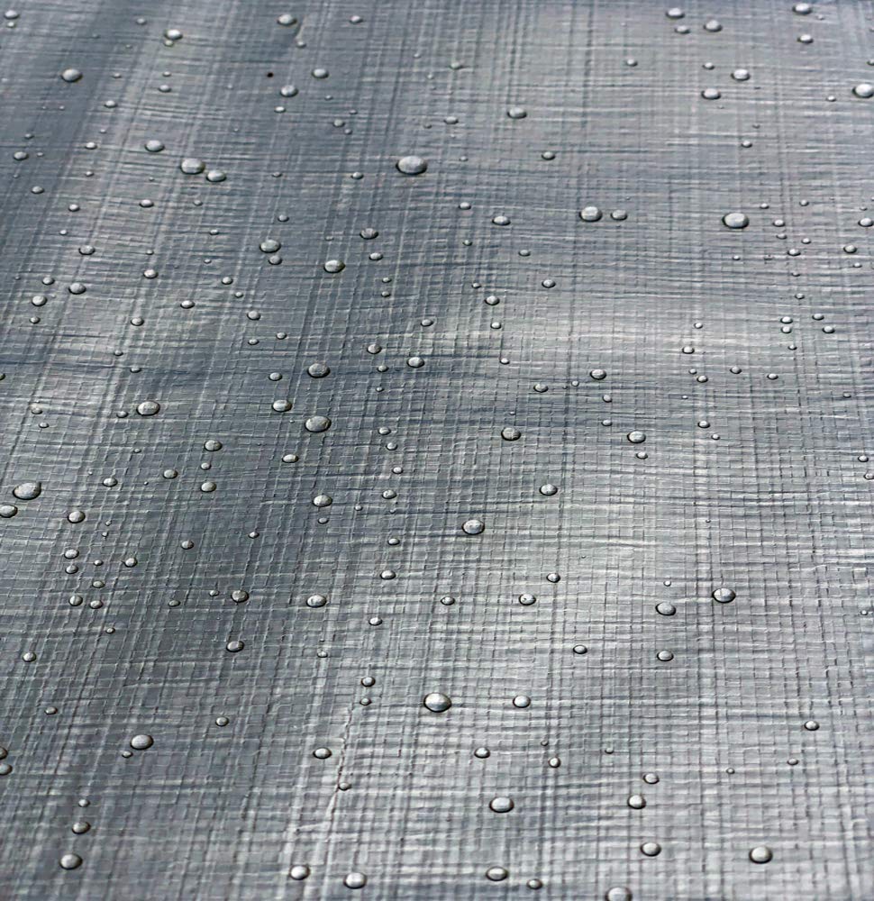 Dry Top 212204 Toldo Reversible de Trabajo Pesado, tamaño Completo 3.65 m x 6 m, Polietileno de 10-mil, Plateado/marrón