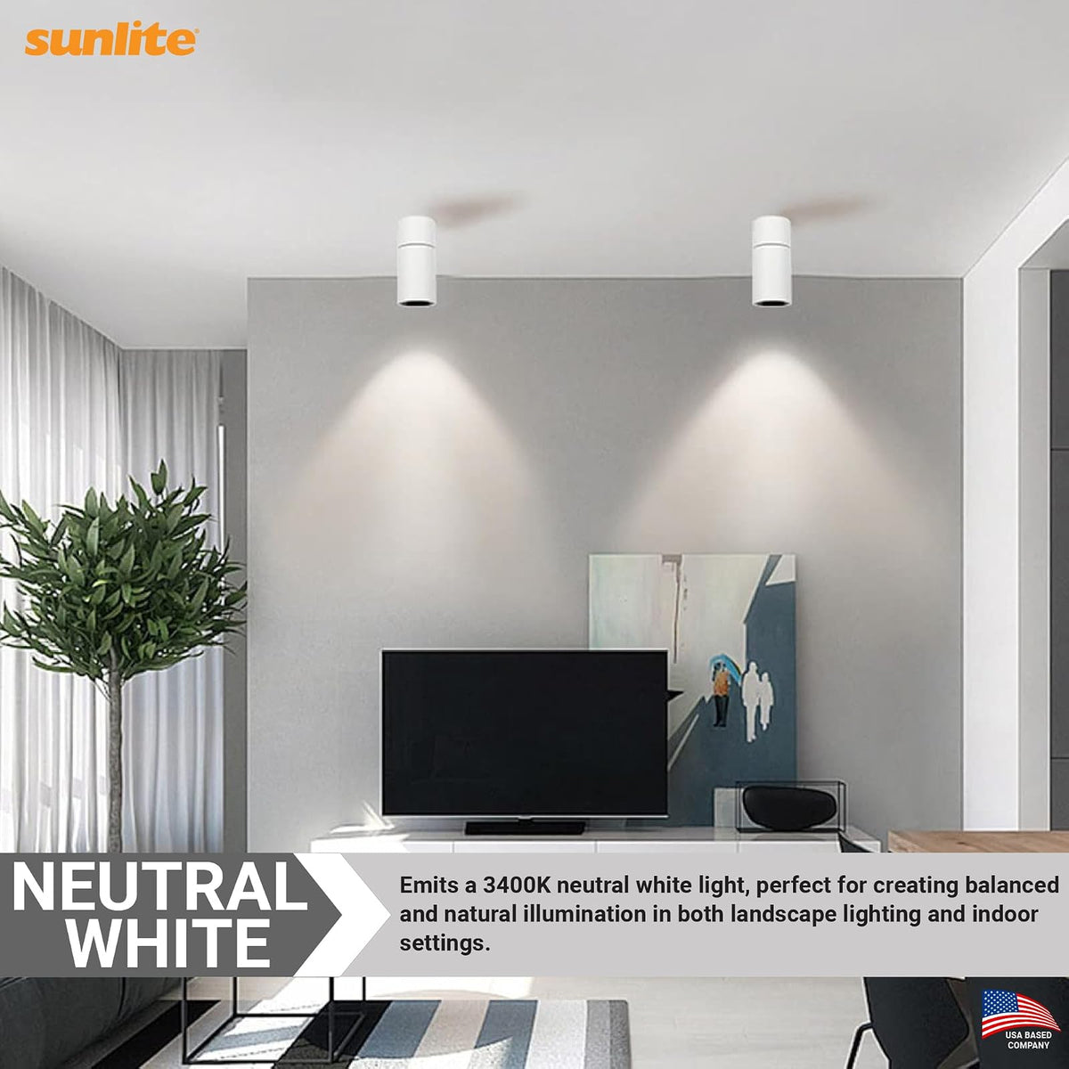 Sunlite ELC 250W/MR16/24V/CL/GX5.3 250-watt 24-volt Bi-Pin Based Stage and Studio MR16 Bulb, Clear