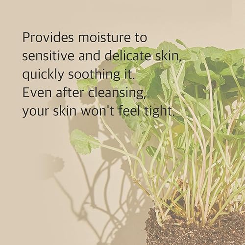 Centella Cleansing Foam – Espuma con CICA y ácido salicílico, 150 ml | Limpiador facial hidratante con Centella de Jeju, elimina maquillaje e impurezas sin resecar la piel sensible