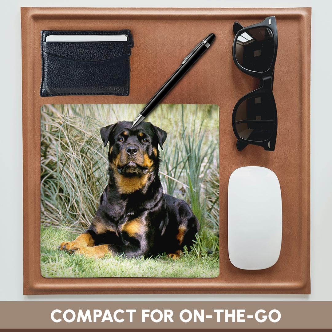 3dRose 8 x 8 x 0.25 Inches Mouse Pad, Rottweiler (mp_500_1)
