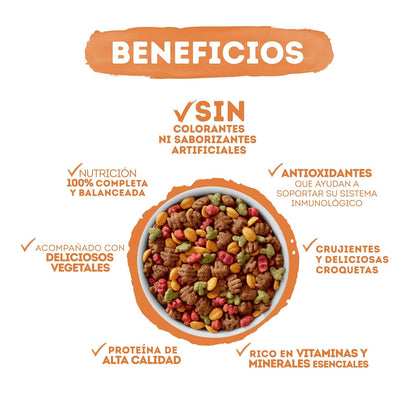 Purina Beneful Adulto Todos los tamaños Salud Radiante Sabor Salmón 10Kg