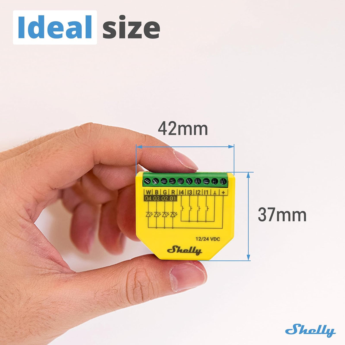 Shelly Plus RGBW PM - Módulo Controlador RGBW Para Tiras LED Wi-Fi Y Bluetooth, 12-24 VDC, Medidor De Consumo Eléctrico Integrado, No Necesita Hub, Aplicación iOS, Android (2 Piezas)