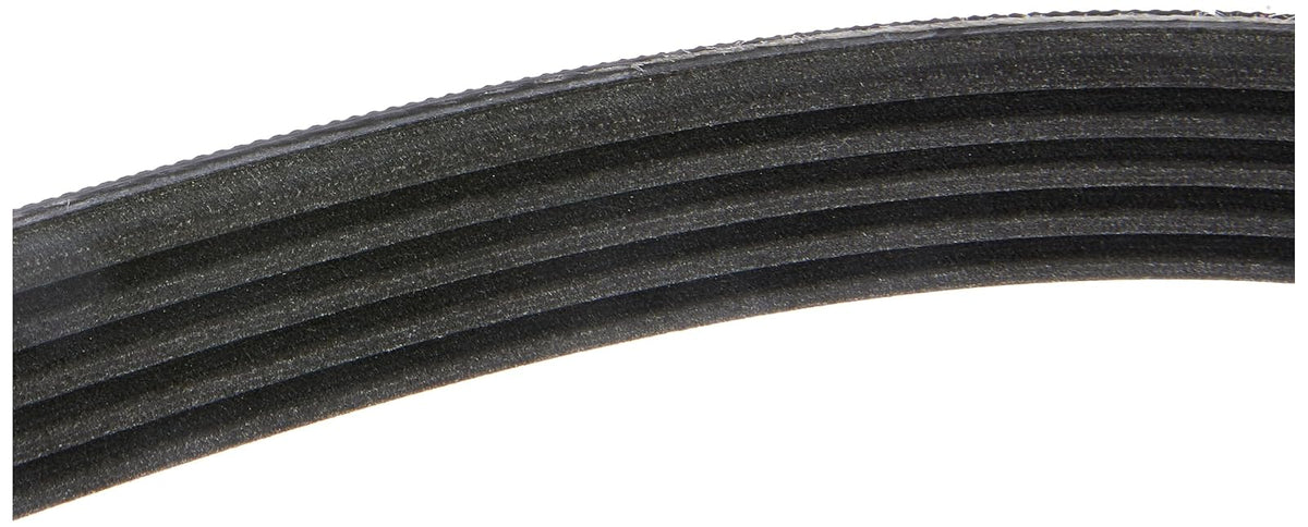ContiTech 5K1750 Banda Multirib K050690