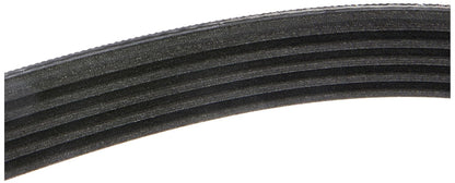 ContiTech 5K1750 Banda Multirib K050690