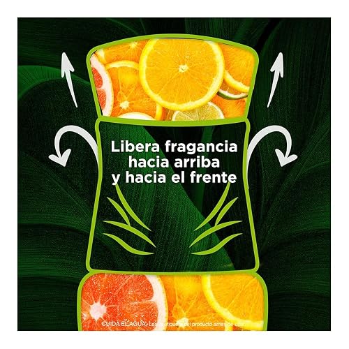 Air Wick® 2 Repuestos de Aromatizante de Ambiente Continuo para Aparato Difusor eléctrico, Aroma Citrus Punch, 20 ml c/u