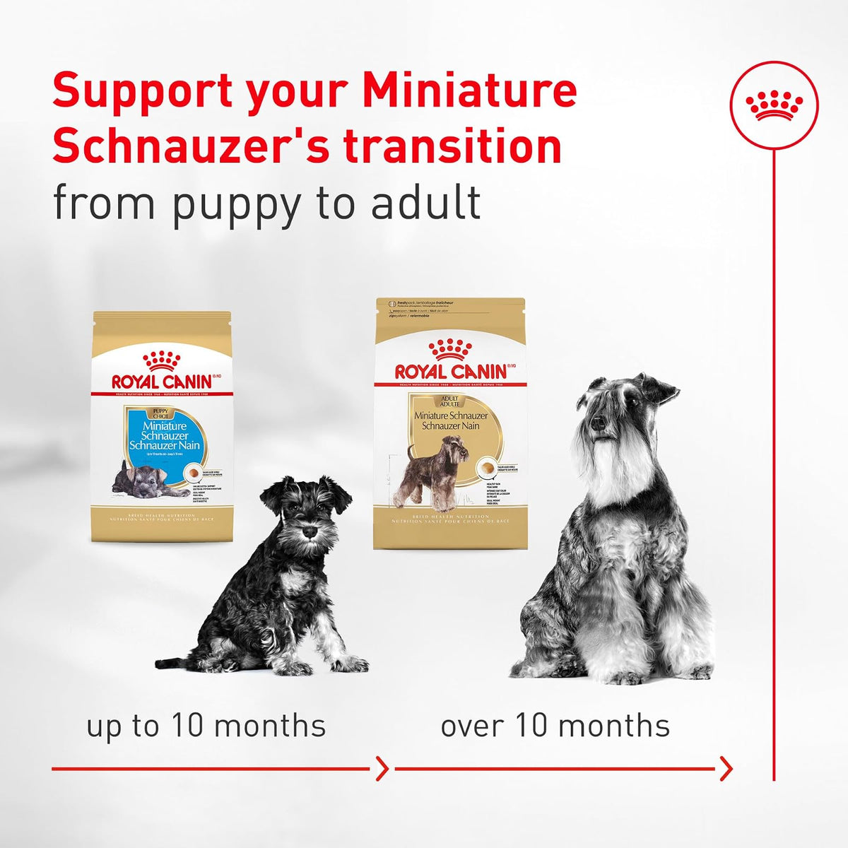 Royal Canin Croquetas para Schnauzer, 4.53 kg (El empaque puede variar)