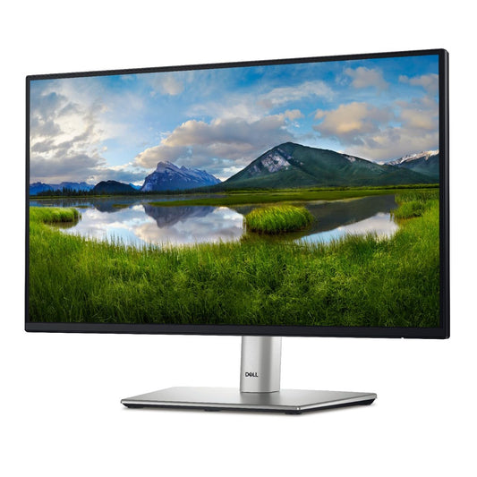 DELL 22 Monitor - P2225H