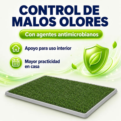 Fancy Pets Tapete de Entrenamiento para Perros Doggie Grass | Pasto Sintético con Bandeja y Rejilla | XCH 50x40 cm