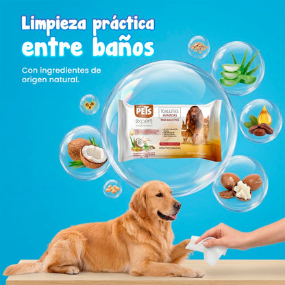 Fancy Pets MS Kit de Limpieza Básica para Perros con Limpiador de Oídos 125 ml, Toallitas para Ojos 80 pzas, Toallitas Húmedas 40 pzas, Removedor de Pelo y Shampoo Nutritivo 250 ml