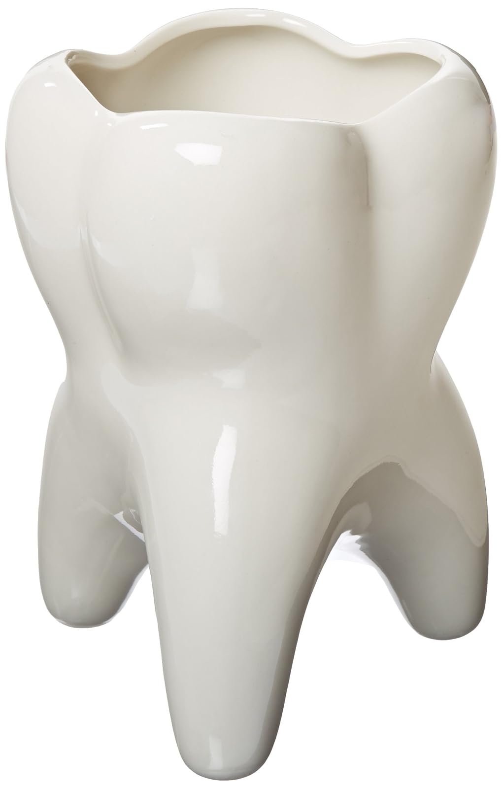 Practicon 9072710 Recipiente con forma de muela