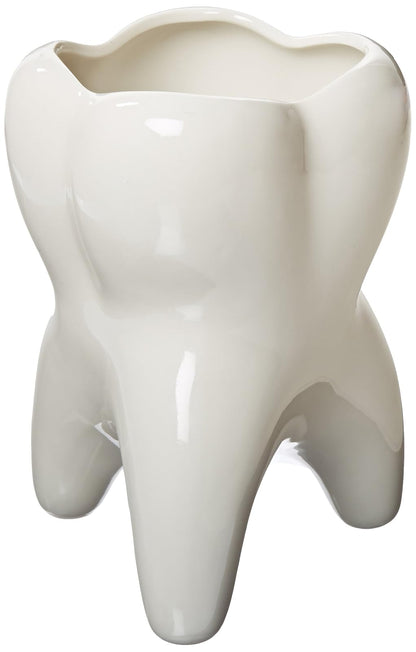 Practicon 9072710 Recipiente con forma de muela