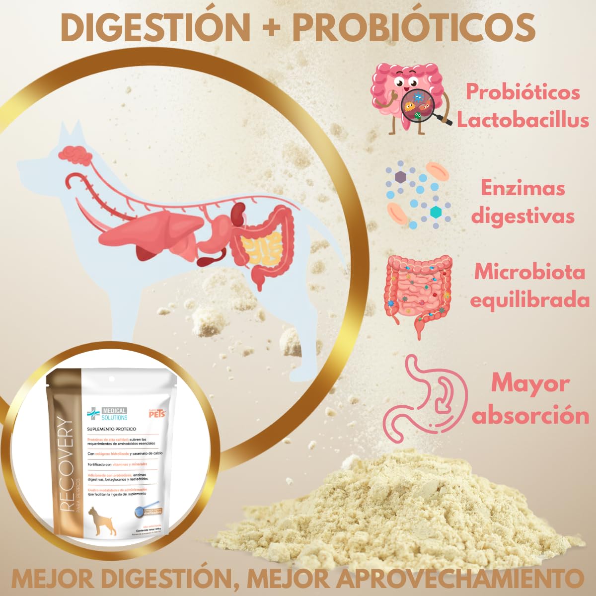 Fancy Pets MS Recovery Suplemento de Proteína para Perros 400 g Suplemento Nutricional con Colágeno y Vitaminas para Apoyo Muscular y Vitalidad