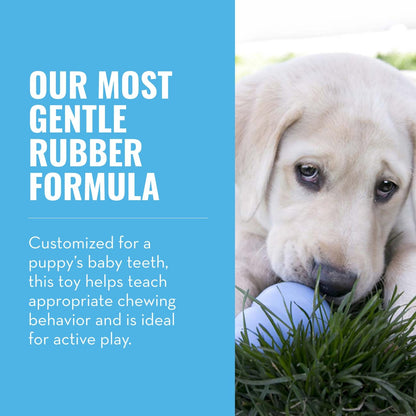 Kong Juguete para Cachorros, extra pequeño (El Color puede Variar)