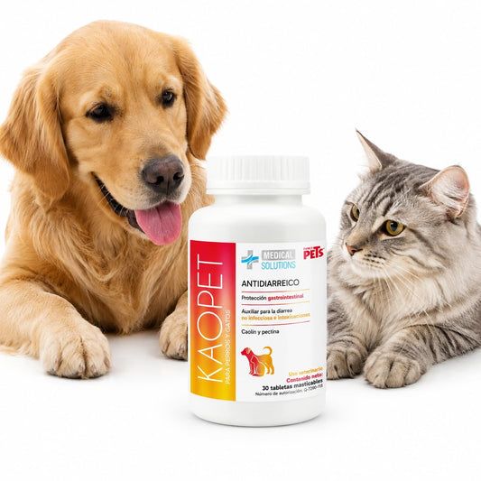 Fancy Pets MS Kaopet GastroProtect – Antidiarreico para Perros y Gatos