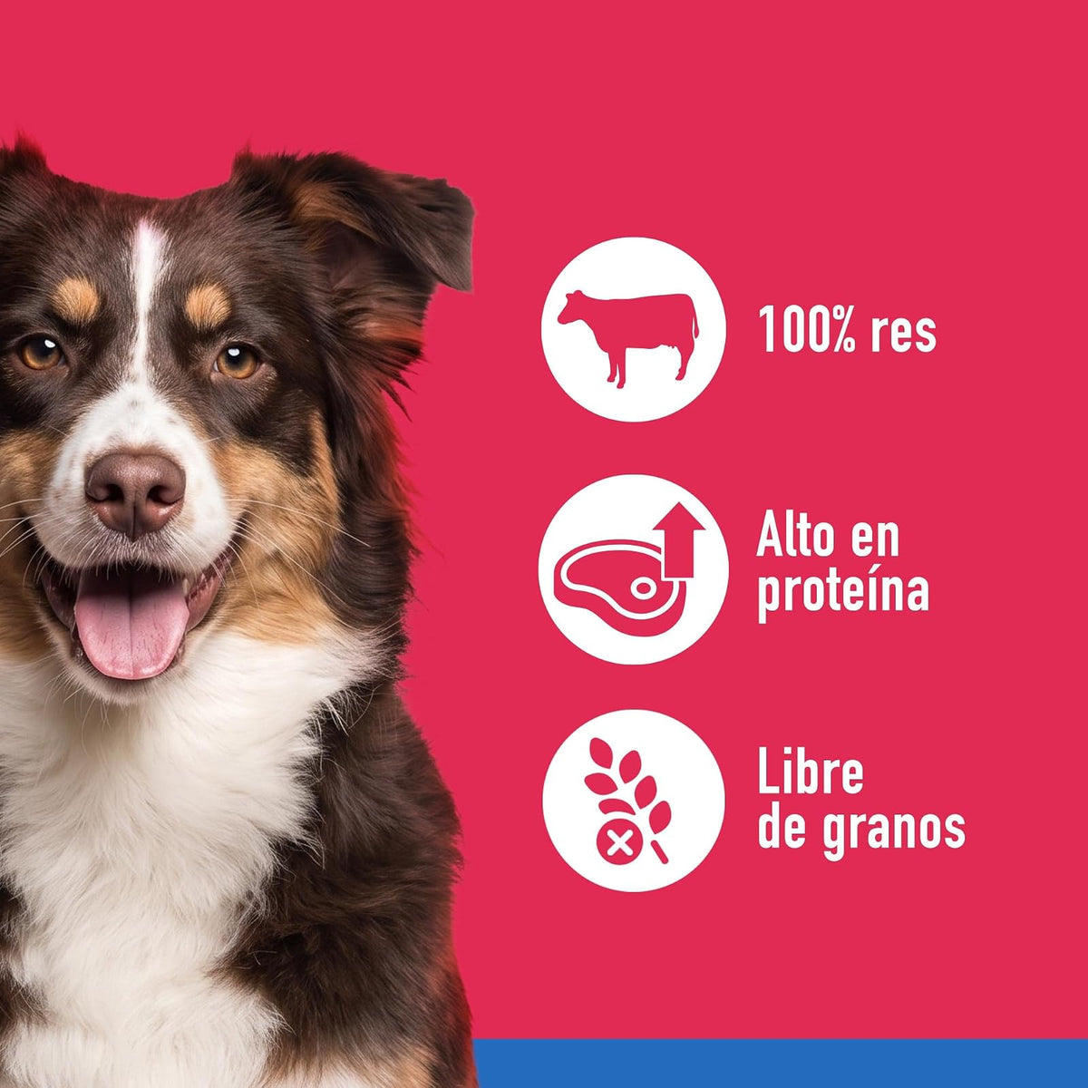 Pearl's Pure Nutrition CAMPI, Premios para Perro, Hígado de Res Liofilizado, 100% Natural, Contienen 63% de Proteína, 100 g