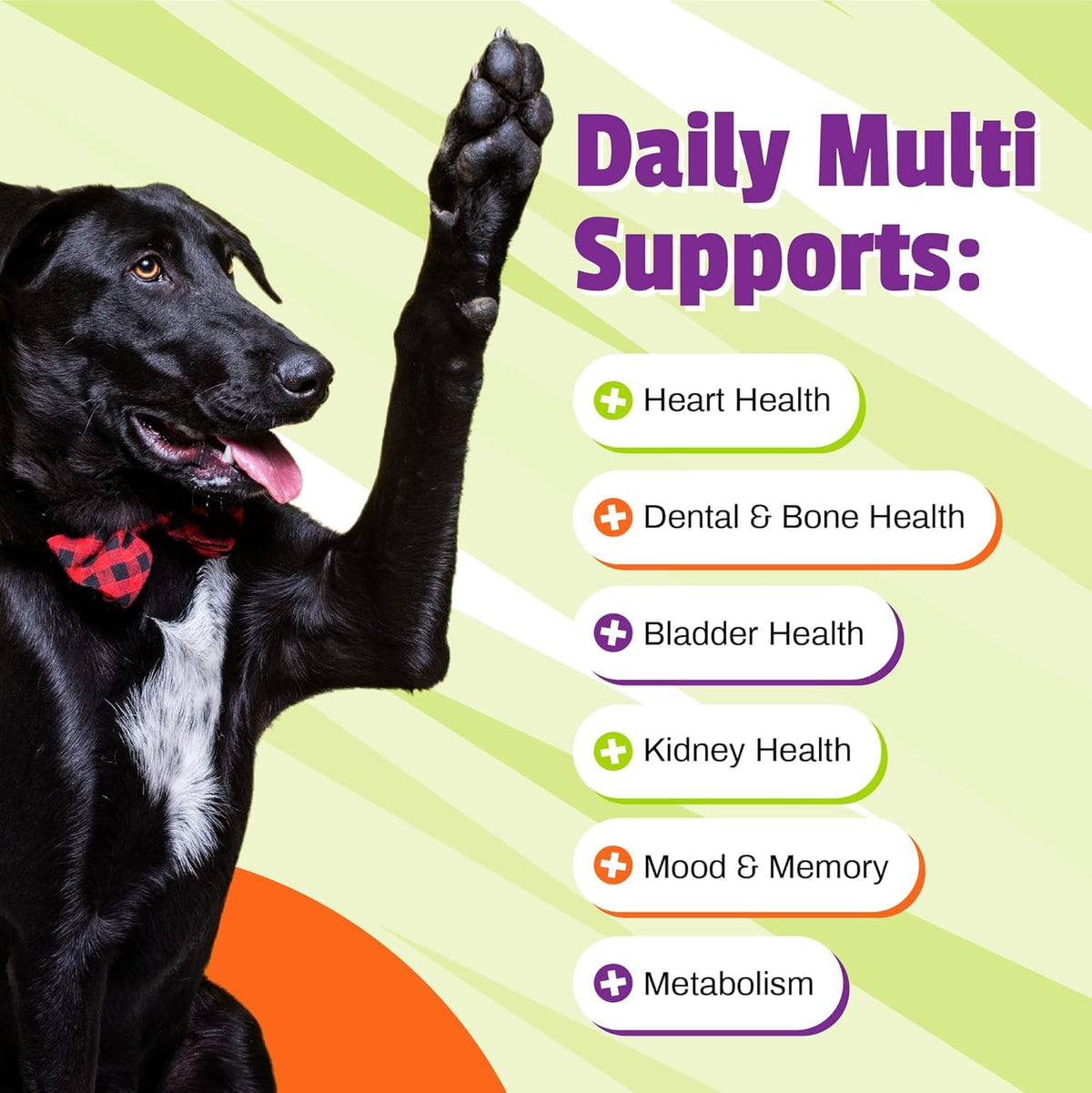 Pet Naturals Daily Multi Vitaminas para Perros, Apoyo Nutricional Completo para Su Salud