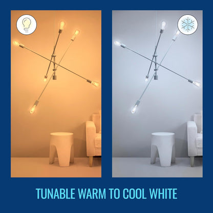WiZ Foco ST19 Tunable White Controlable por Wi-Fi + Bluetooth, Transparente